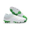 fodboldstøvler til mænd Adidas Copa 19+ FG - Hvid Grøn_1.jpg